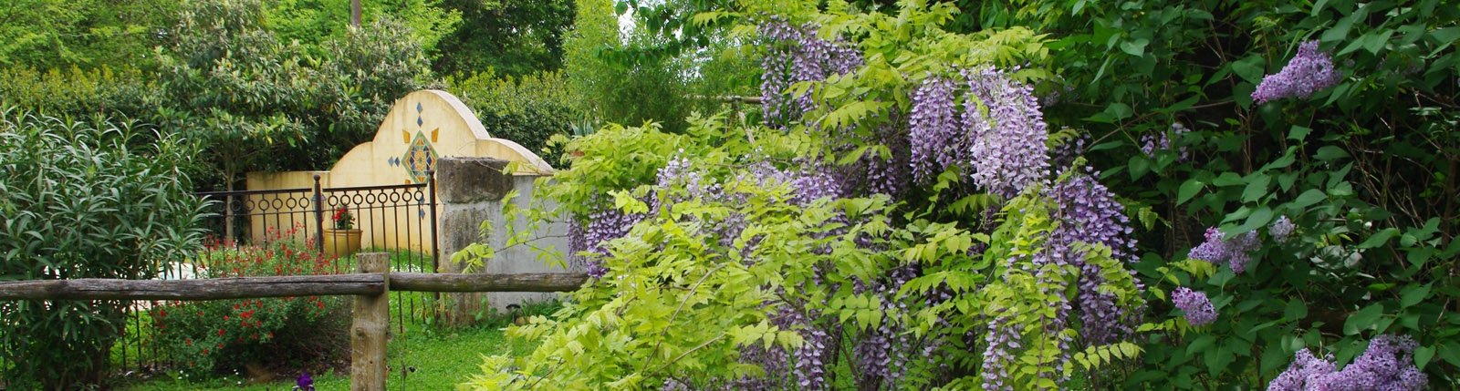 gite calme arles piscine