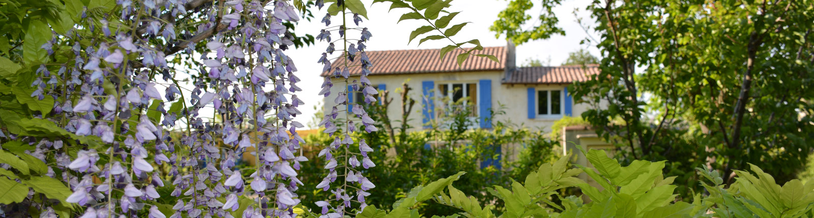 gite calme arles piscine
